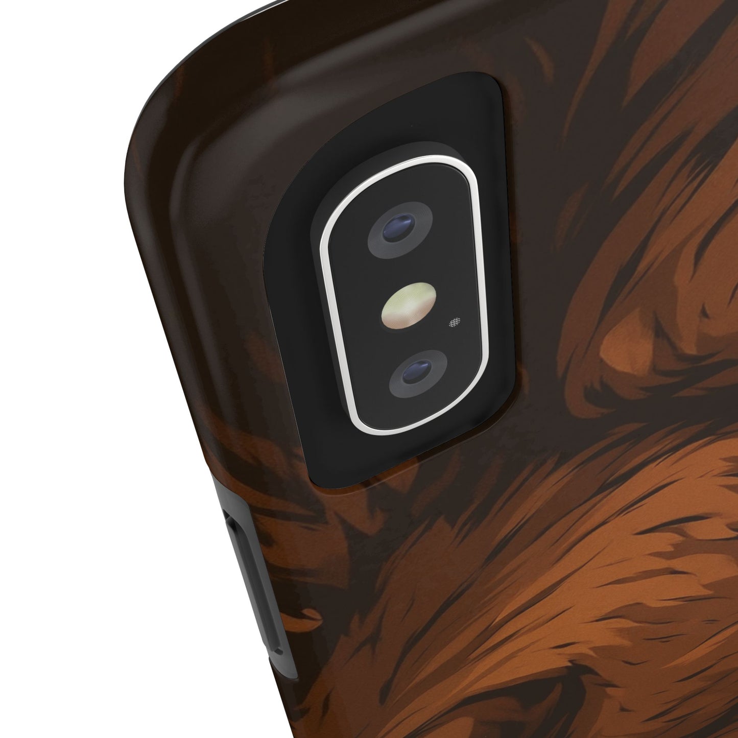 bear